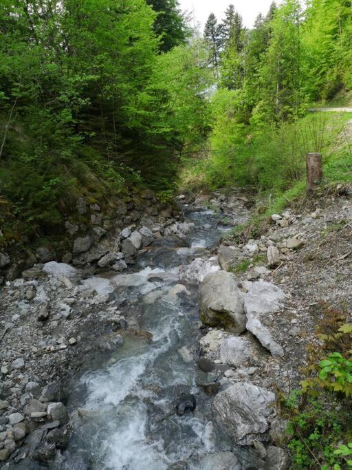 Forest View Apartment In Leissigen By Interlaken With No Kitchen Luaran gambar