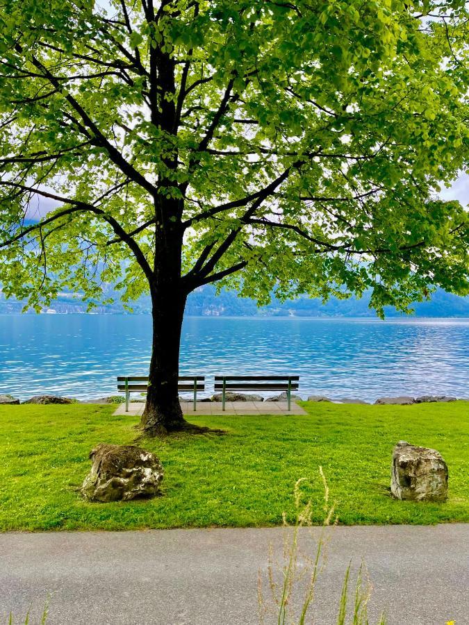 Forest View Apartment In Leissigen By Interlaken With No Kitchen Luaran gambar